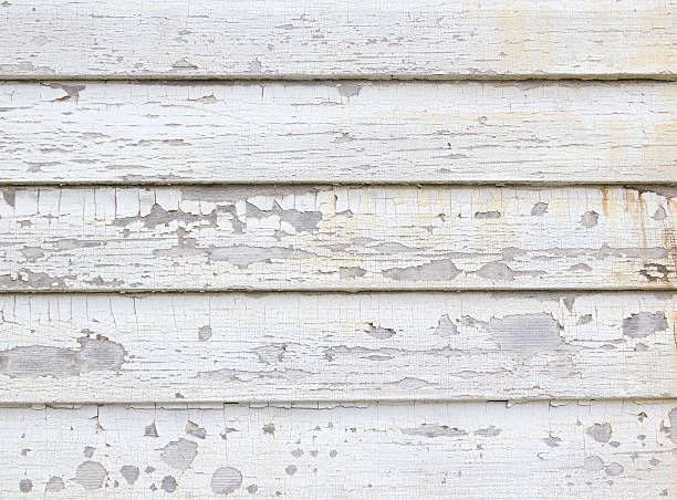 Best Hoarding Cleanup  in Merritt Island, FL